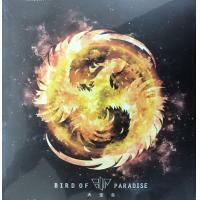天堂鳥-BOP 首張同名專輯 CD + DVD BIRD OF PARADISE 