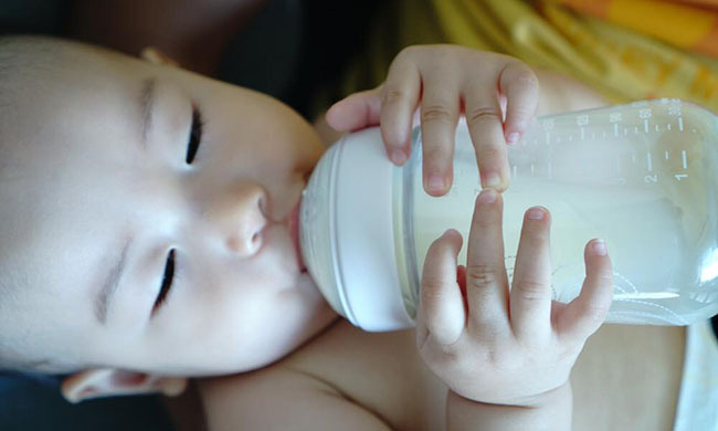 閃妞的育兒人蔘-薑醬的吃貨人蔘《部落客》