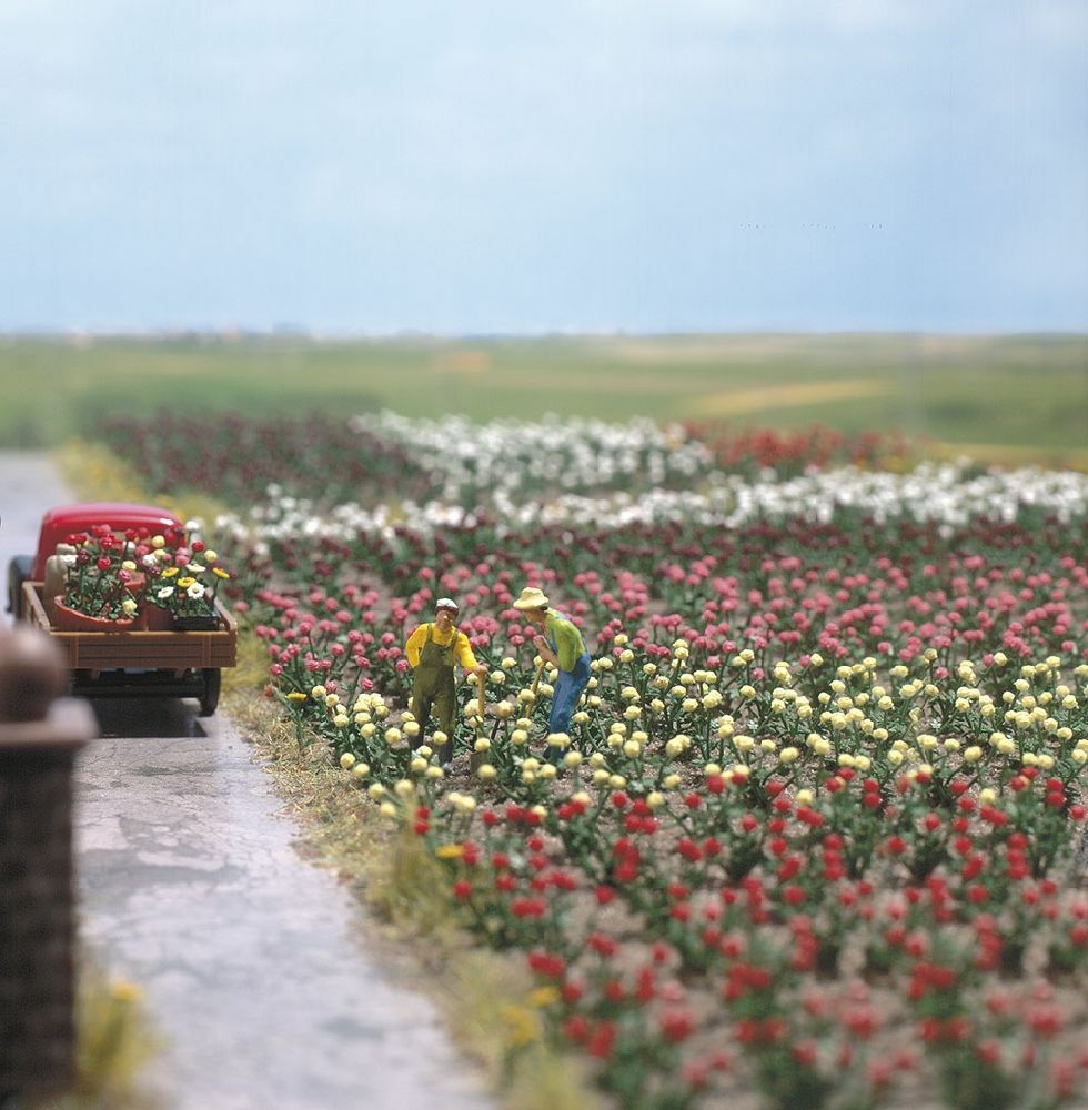 Busch 1205 HO scale 120 Roses