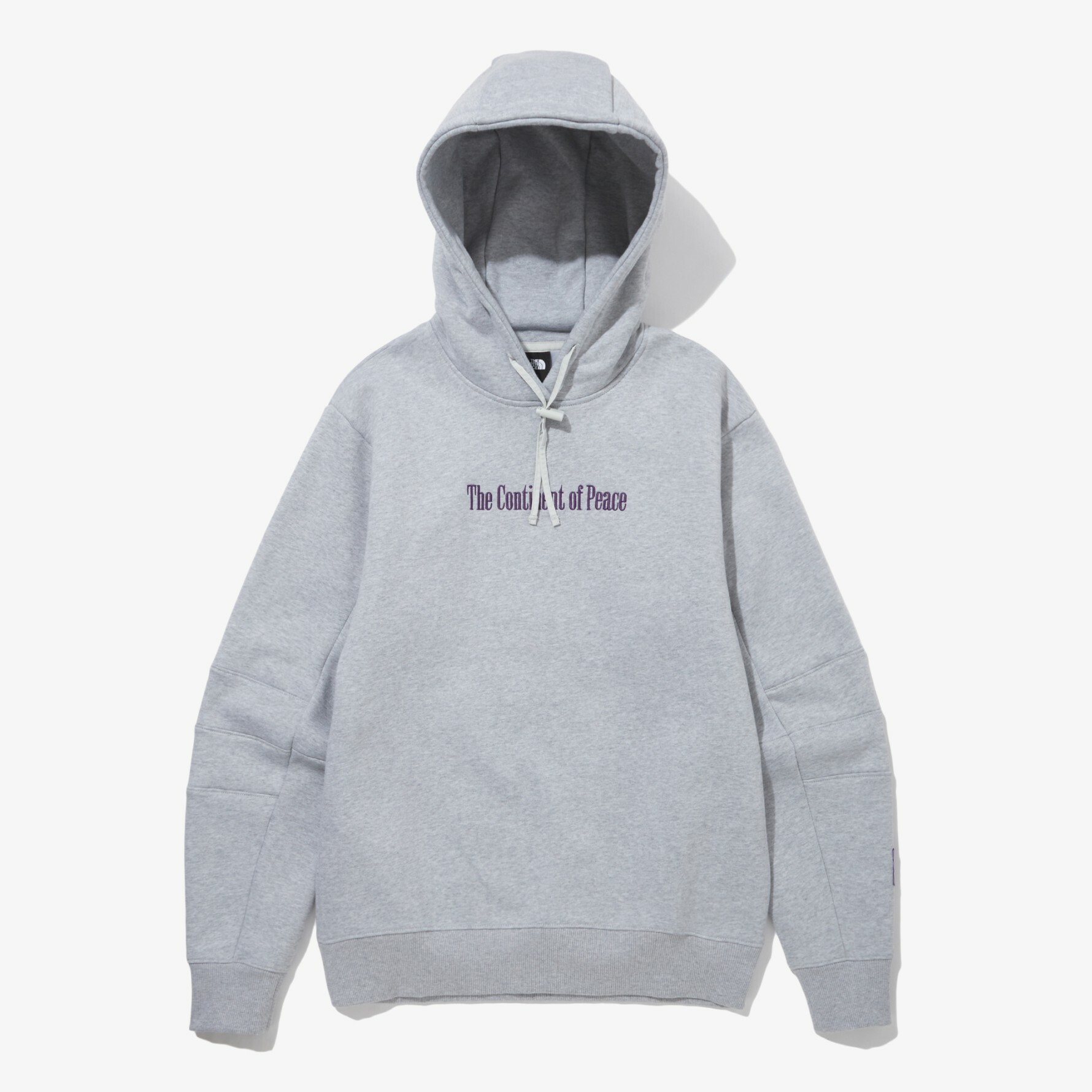 THE NORTH FACE CTAE GRAPHIC 和平大陸 帽T 灰  NM5PM57A