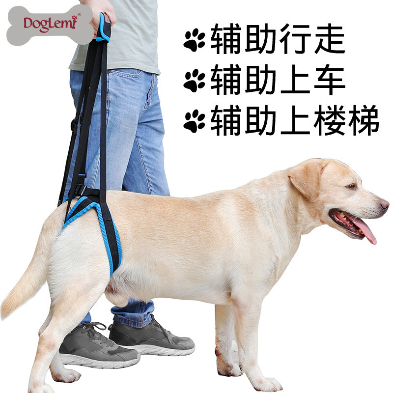 DOGLEMI宠物腿部背带 辅助带