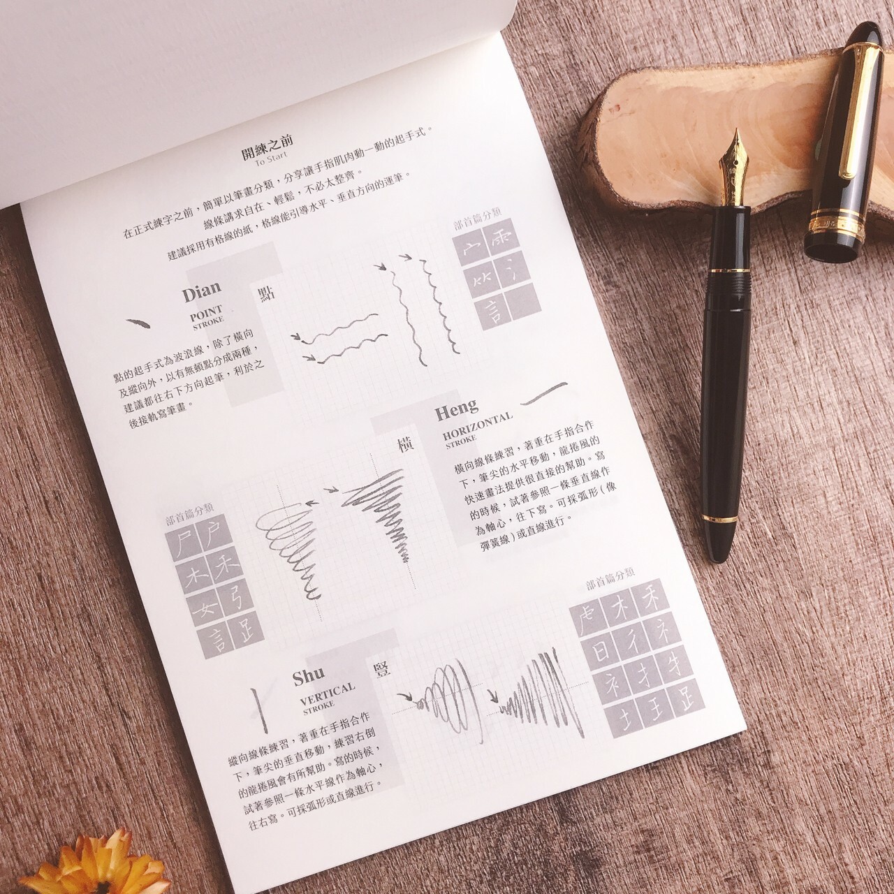 葉曄×夜夜寫字｜『身體記憶，書寫』楷書 部首（上/下 ）字帖