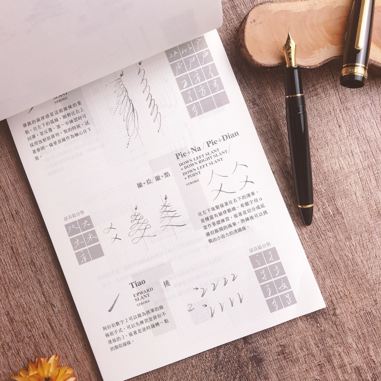 葉曄×夜夜寫字｜『身體記憶，書寫』行書 部首（上/下 ）字帖