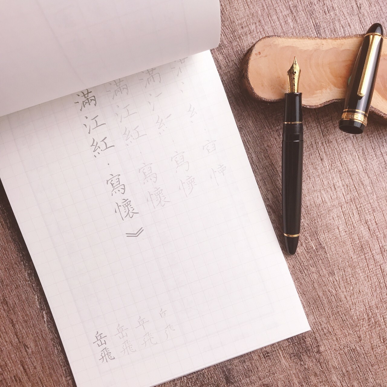 葉曄×夜夜寫字｜品味美字系列 楷書宋詞篇 字帖