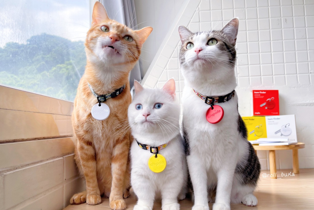 Chipolo 防丟小幫手