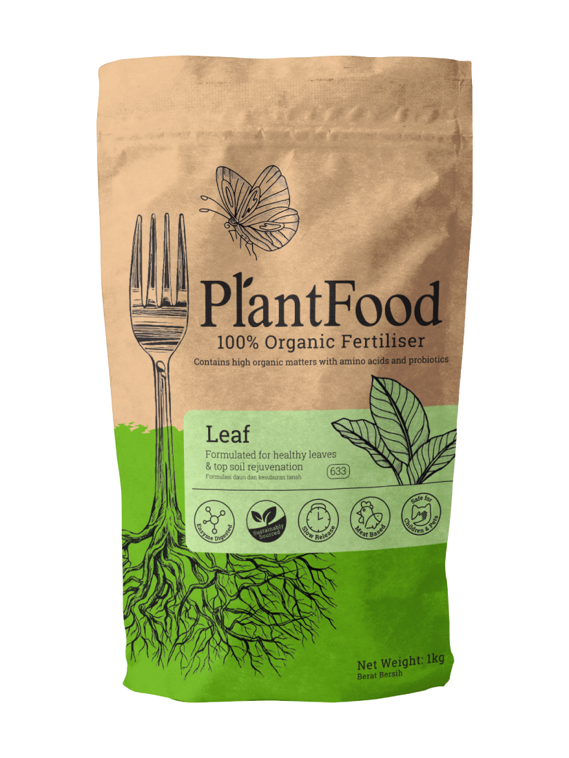 Plant Food Leaf 10 Kg 