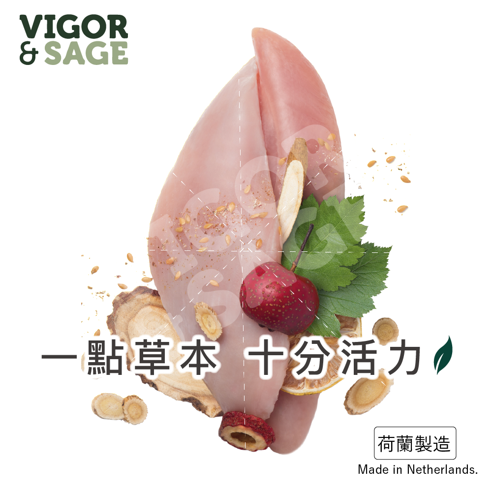 【加購品】Vigor & Sage丨黃芪抗衰老全犬種老犬糧 1kg