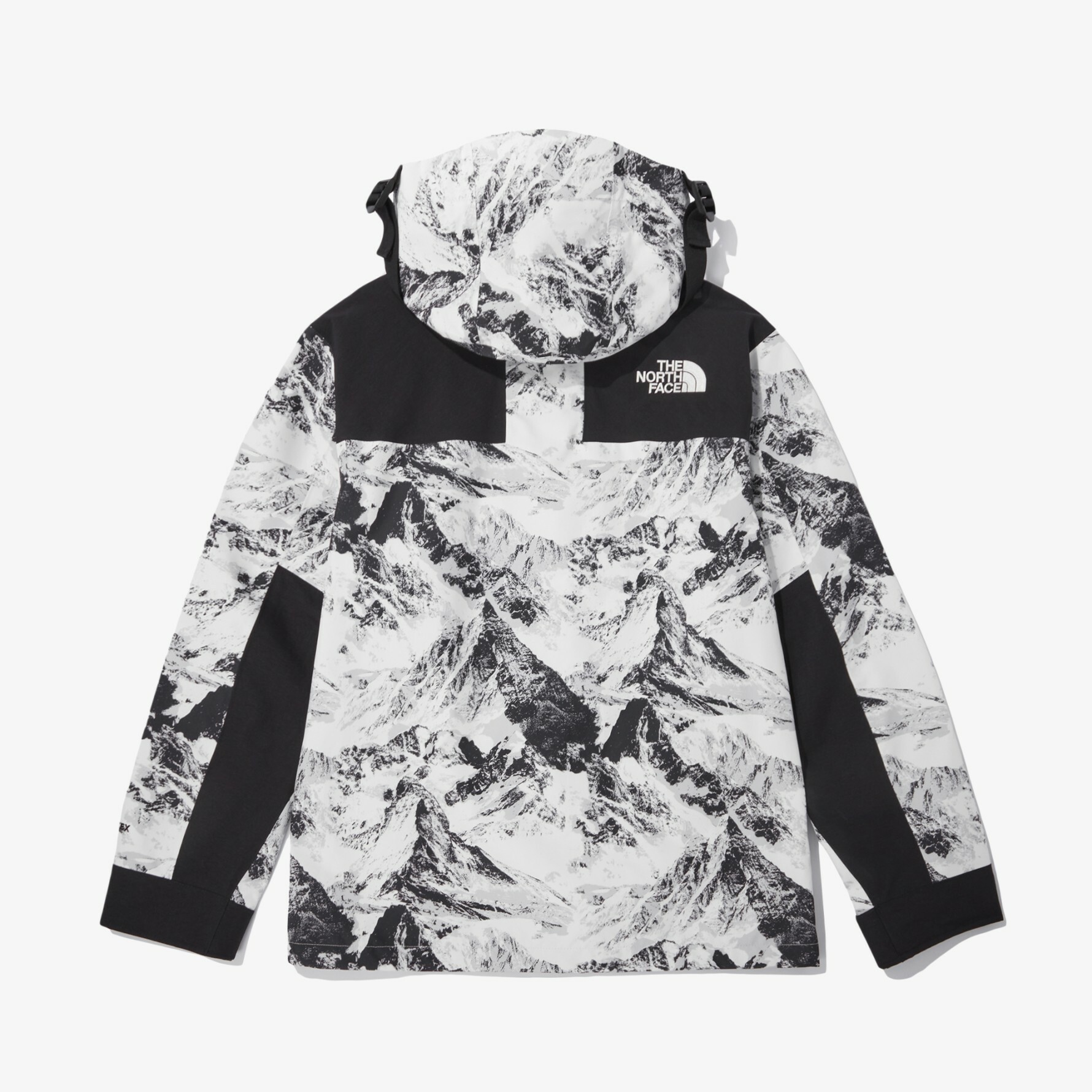 THE NORTH FACENOVELTY ECO GTX MOUNTAIN 雪山 連帽外套 NJ2GN60B