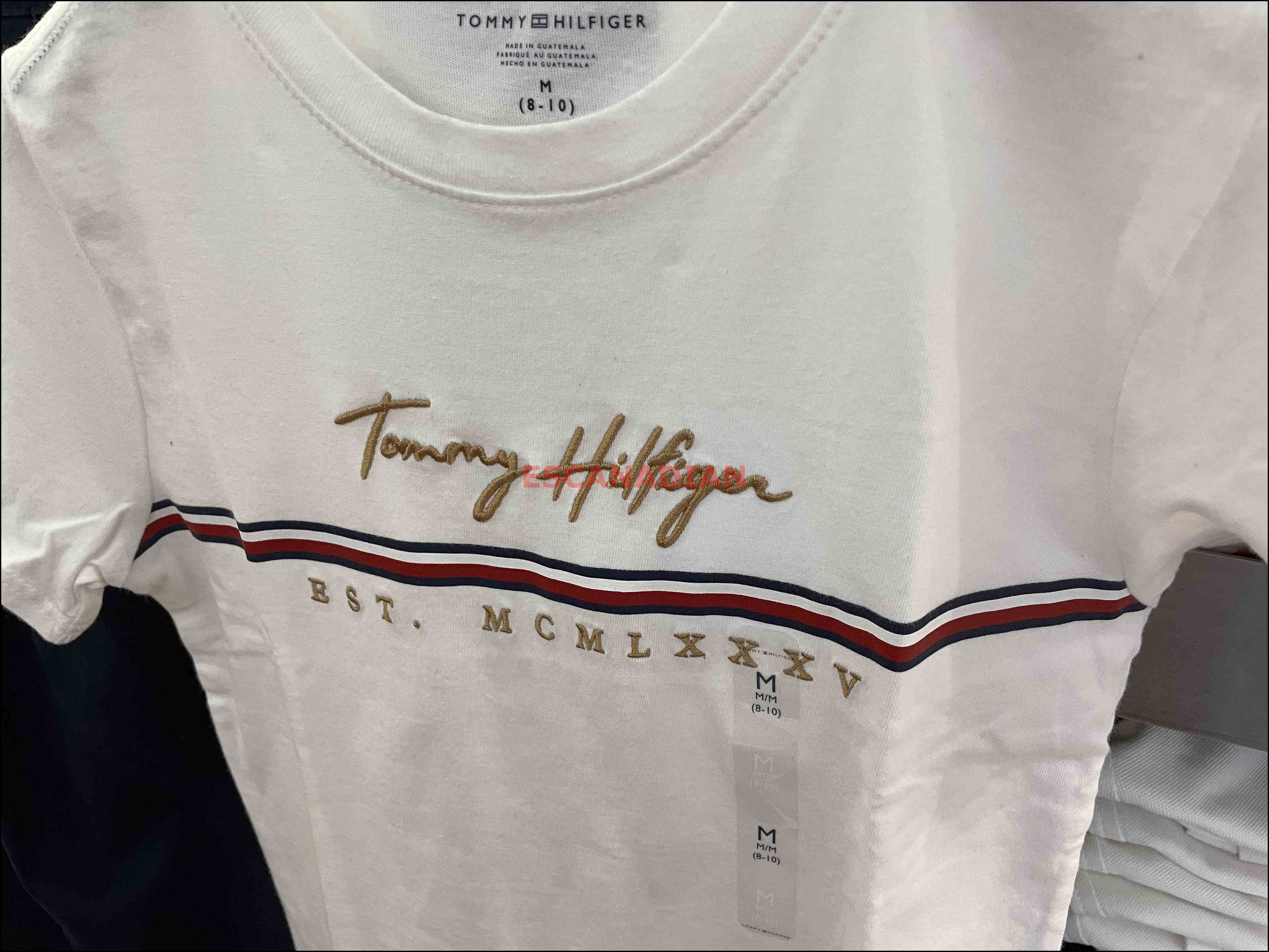 TOMMY 男大童 草寫電繡字樣 短TEE (3色)