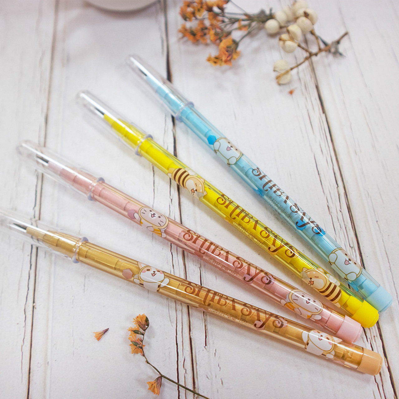 【PENROTE筆樂】柴語錄 HB免削鉛筆