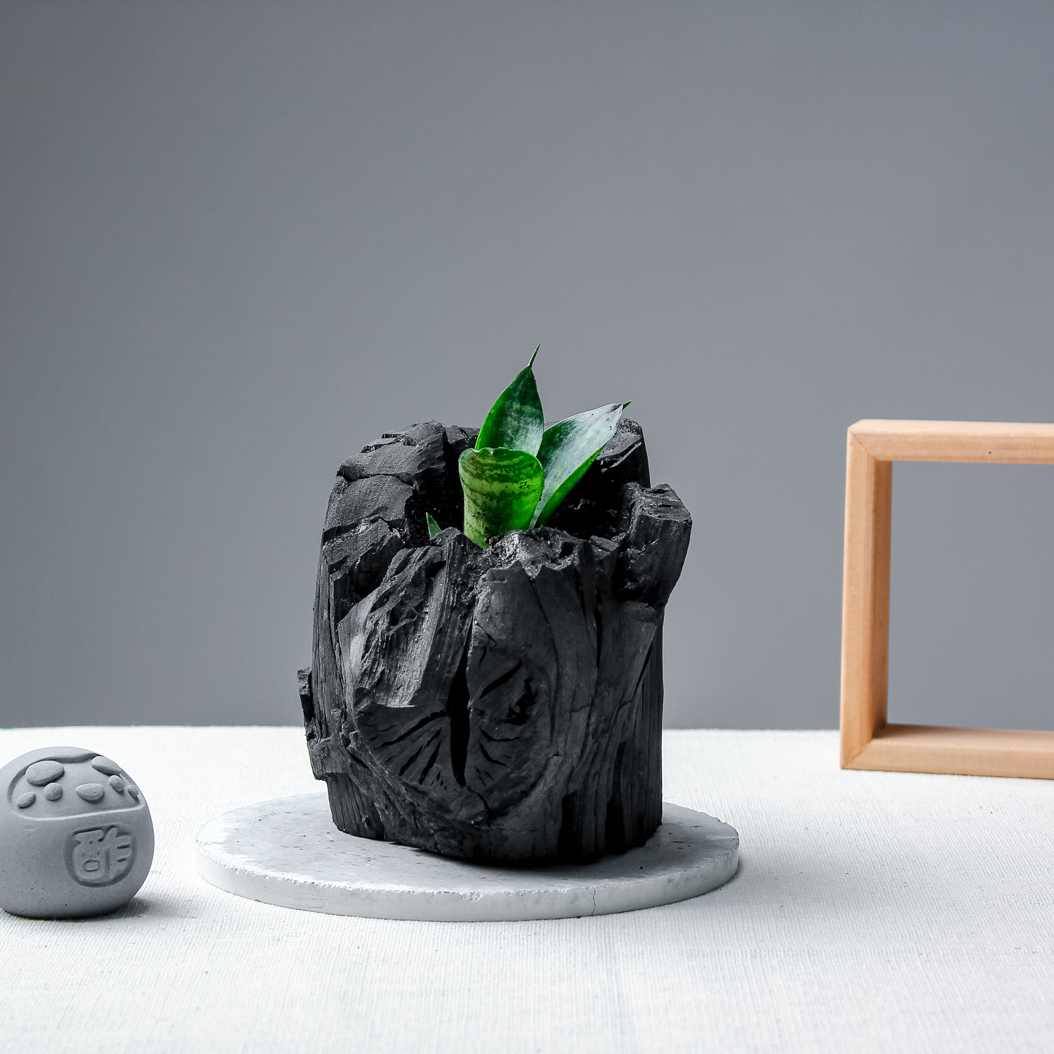 藝術炭盆栽－虎尾蘭［372］/調濕/消臭/美化/家飾/淨化空氣(含運)