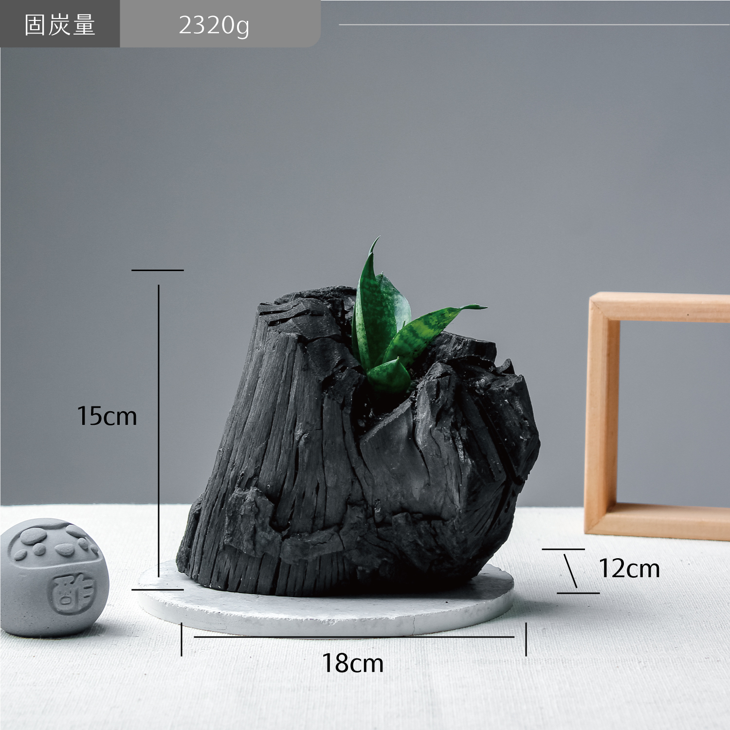 藝術炭盆栽－虎尾蘭［372］/調濕/消臭/美化/家飾/淨化空氣(含運)