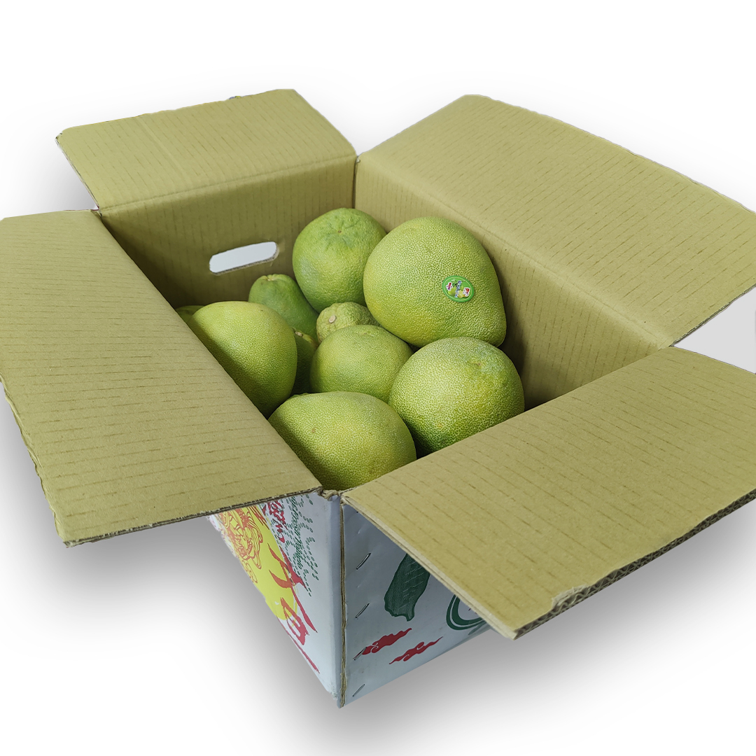 台灣文旦柚 [原箱]