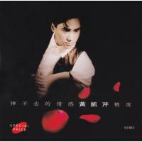 黃凱芹 Christopher Wong - 揮不去的情感精選 2CD