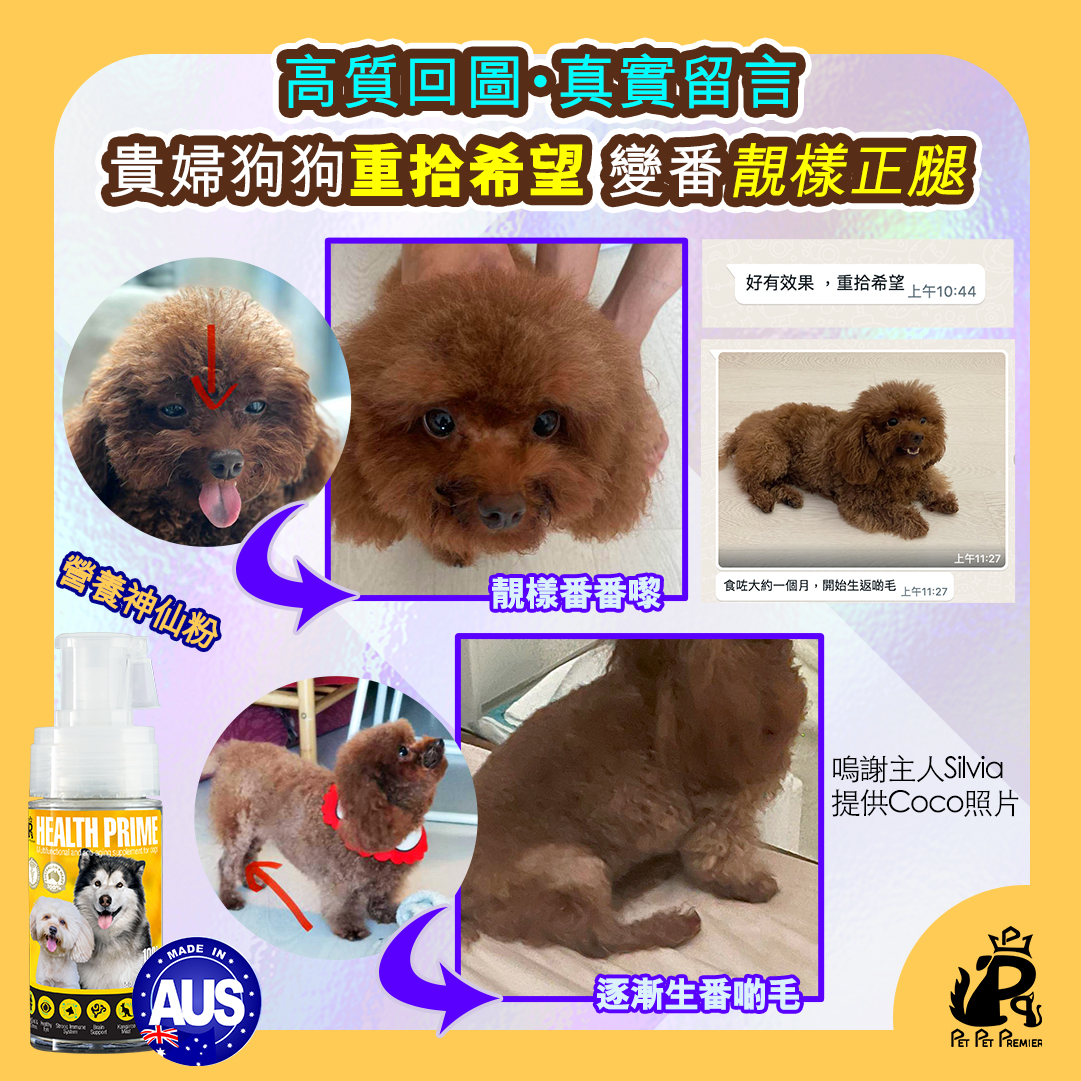 Pet Pet Premier, Health Prime, Joint Prime, Nutri Prime, 寵物神仙粉,   狗狗神仙粉, 貓貓神仙粉,  營養神仙粉, 關節神仙粉, 補營神仙粉, 神仙粉, 神仙水, 狗保健品, 狗皮膚