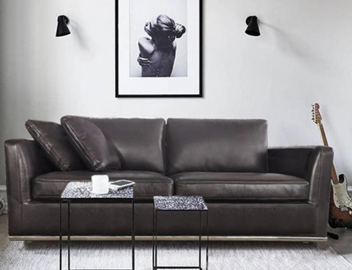 【台中沙發】這個沙發就連獅子來都抓不破