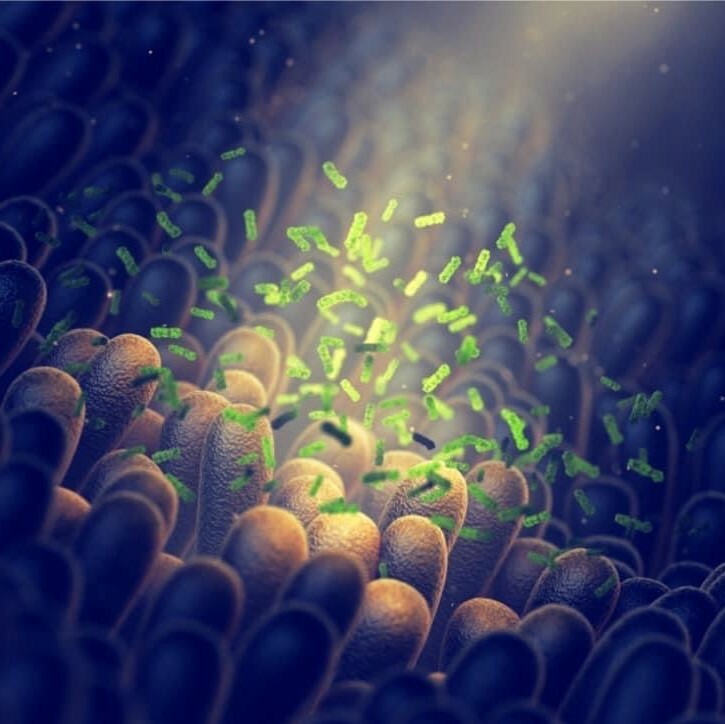 保健食品品牌,便秘,腸胃道,益生元,呼吸道過敏,皮膚過敏,鼻子過敏,雷特氏b菌,克菲爾菌,約氏乳桿菌,益生菌推薦,益生菌挑選,益生菌功效,鼠李糖乳桿菌,益生菌怎麼吃,腸胃道益生菌,益生菌什麼時候吃,腸道益生菌推薦