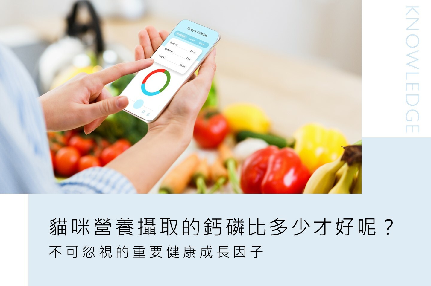 貓爾學院,鈣磷比,礦物質