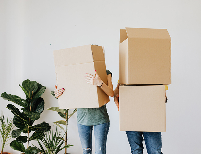 【除舊佈新不動裝潢術】大掃除4秘招大公開