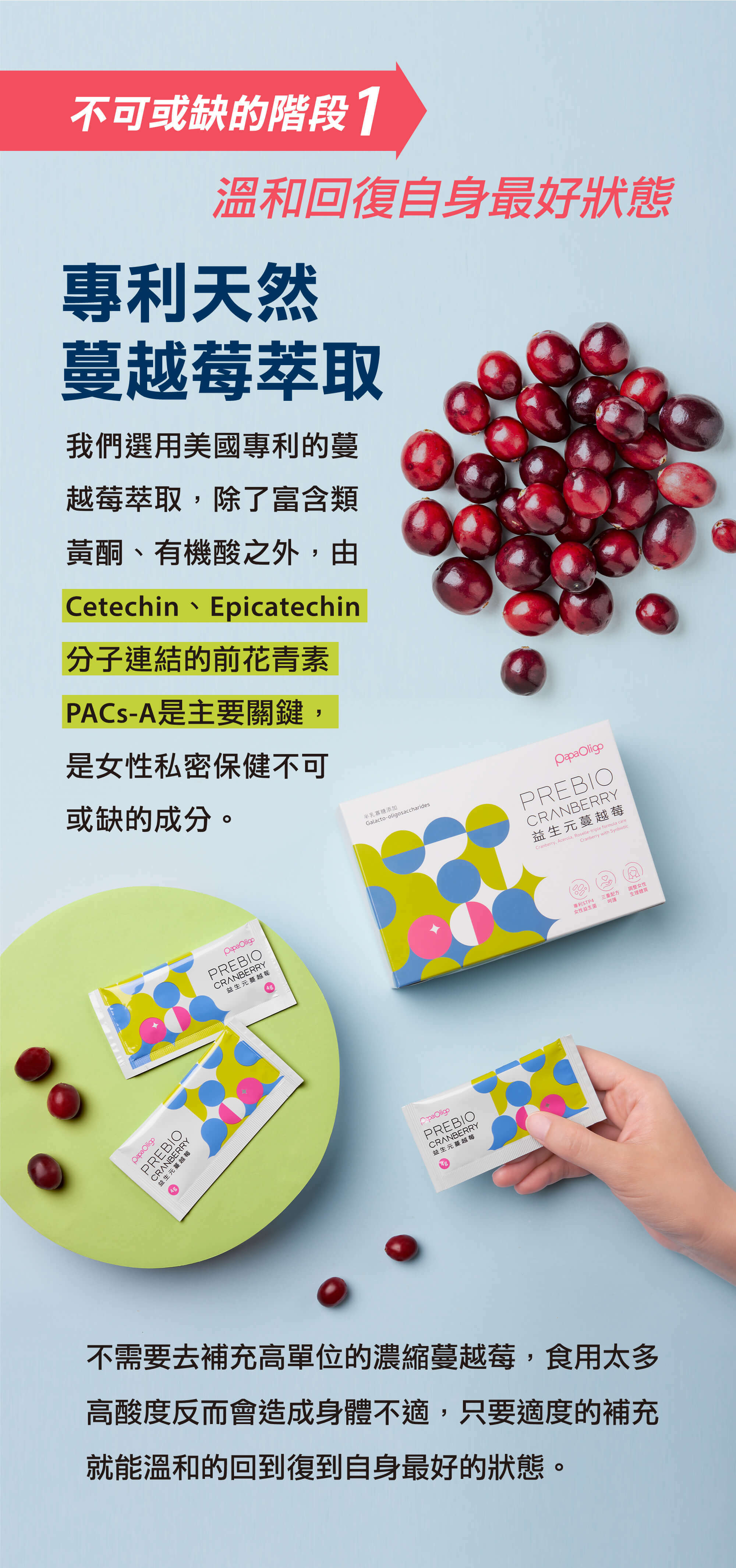 專利天然蔓越莓萃取，由Cetechin、Epicatechin分子連結的前花青素PACs-A是主要關鍵