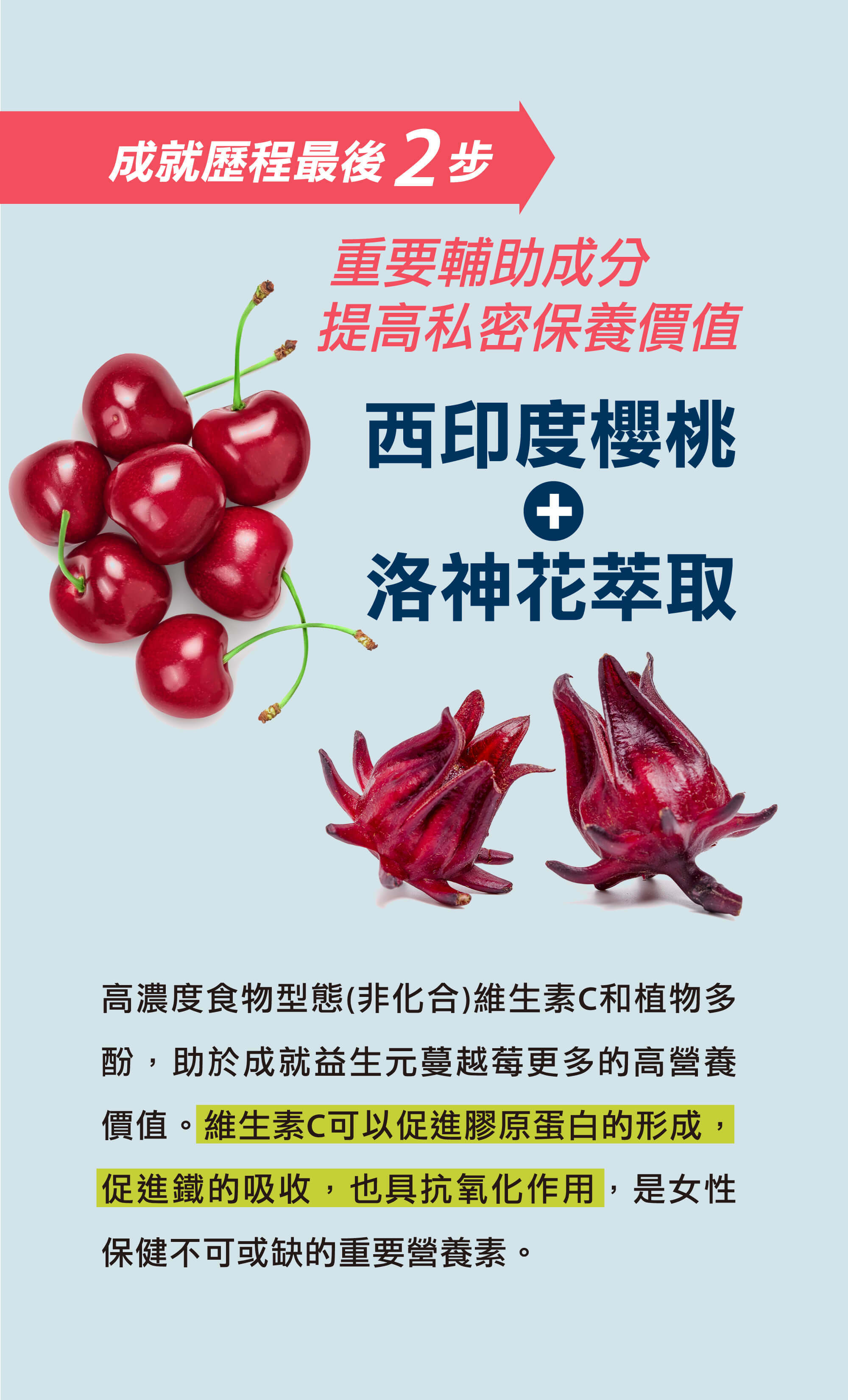 西印度櫻桃加洛神花萃取，維生素C可以促進膠原蛋白的形成，促進鐵的吸收，也具抗氧化作用