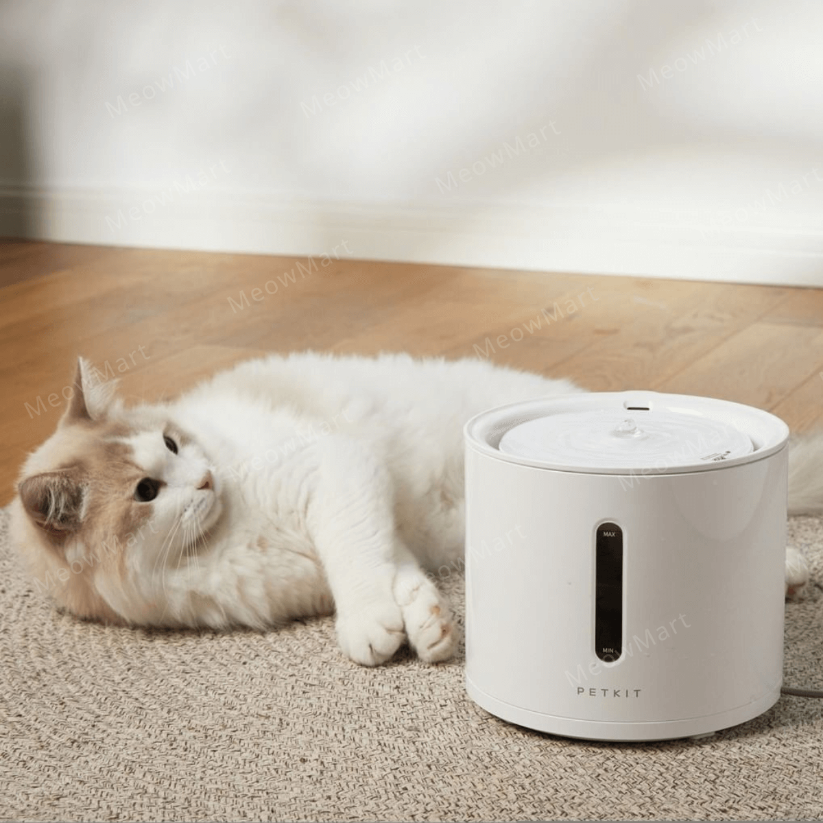 【現貨75折】Eversweet SOLO 2 無線水泵智能飲水機