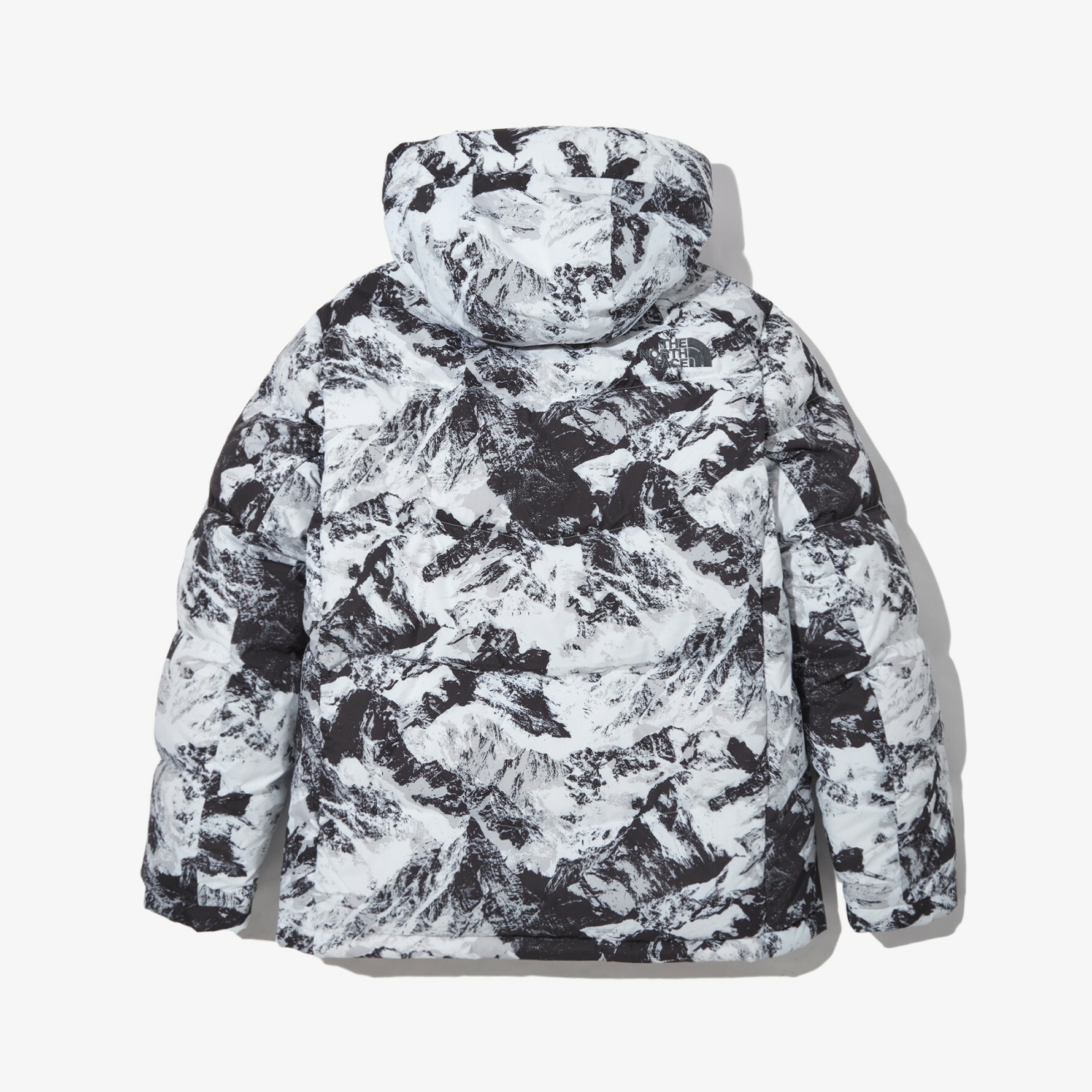 THE NORTH FACE NOVELTY ACT EX HYBRID 連帽 羽絨外套 雪山 白 NJ1DN78A