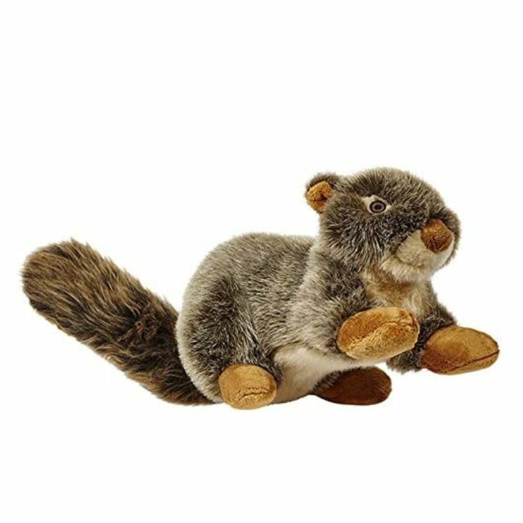 Fluff & Tuff - 松鼠