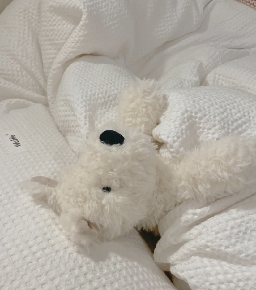 <快速出貨>Jellycat Munro Scottie毛絨絨西高地狗狗