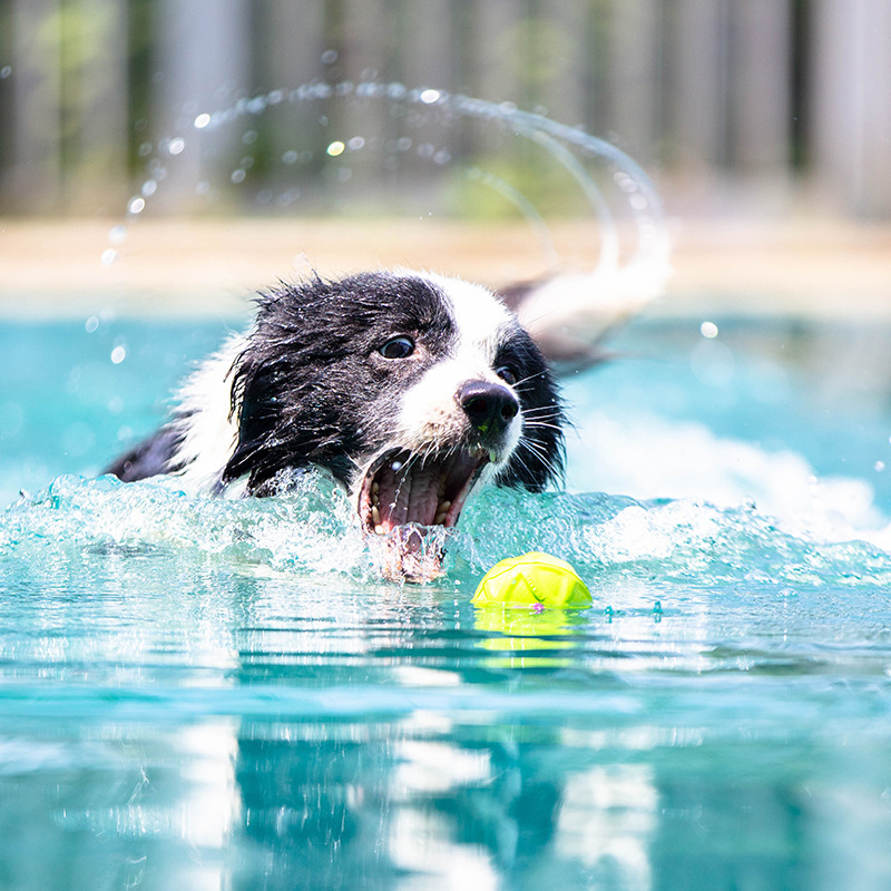 GIGIWI 浮水球 回弹球 超强回弹力 7*7*7cm