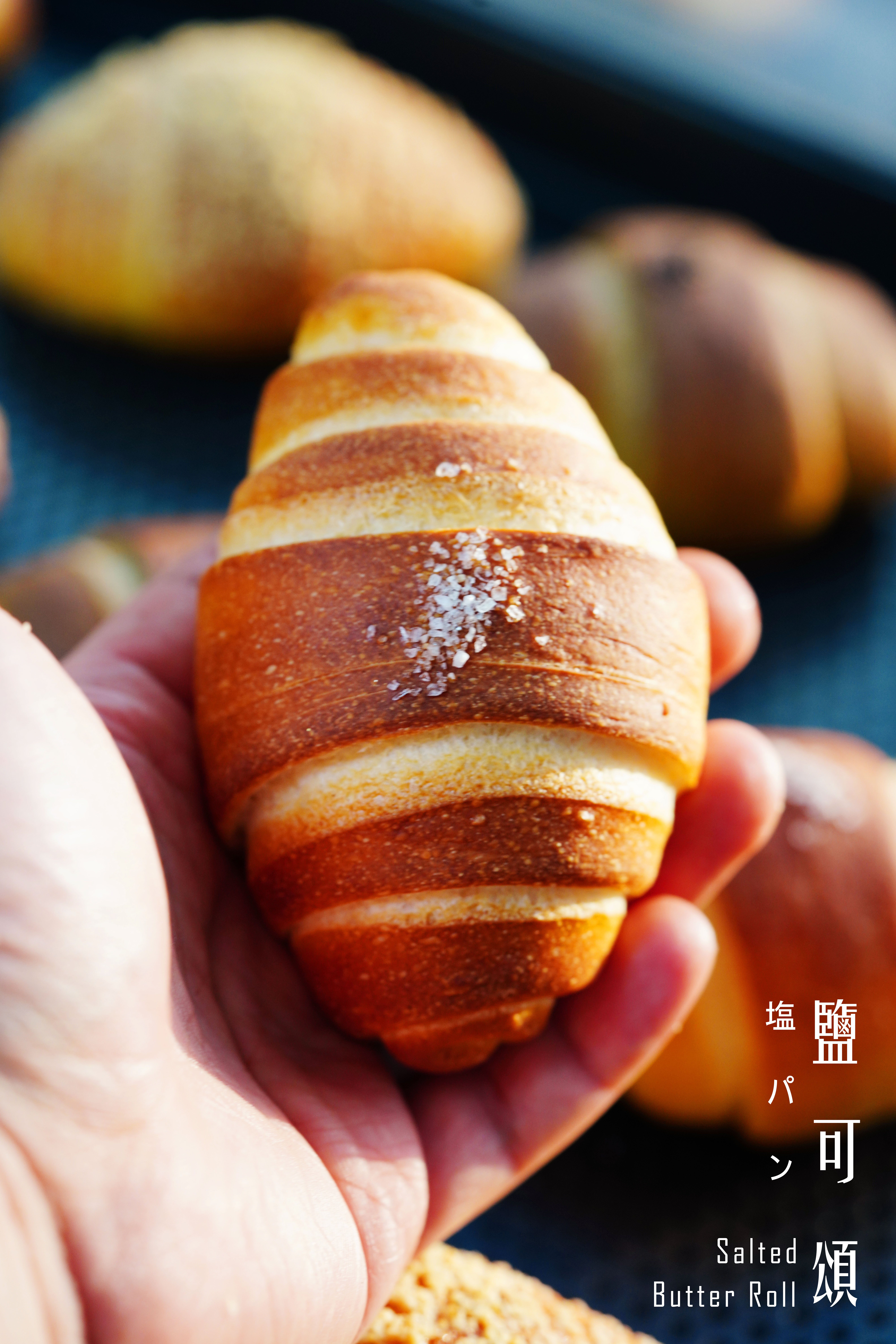 朱Sir實體課 - 鹽可頌 (26年重開)