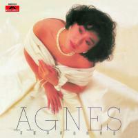 蔣麗萍-新曲與精選(膠盒版)Agnes Chiang 