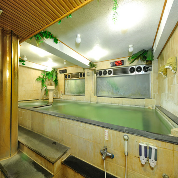 【礁溪】帥王溫泉大飯店 男湯環境