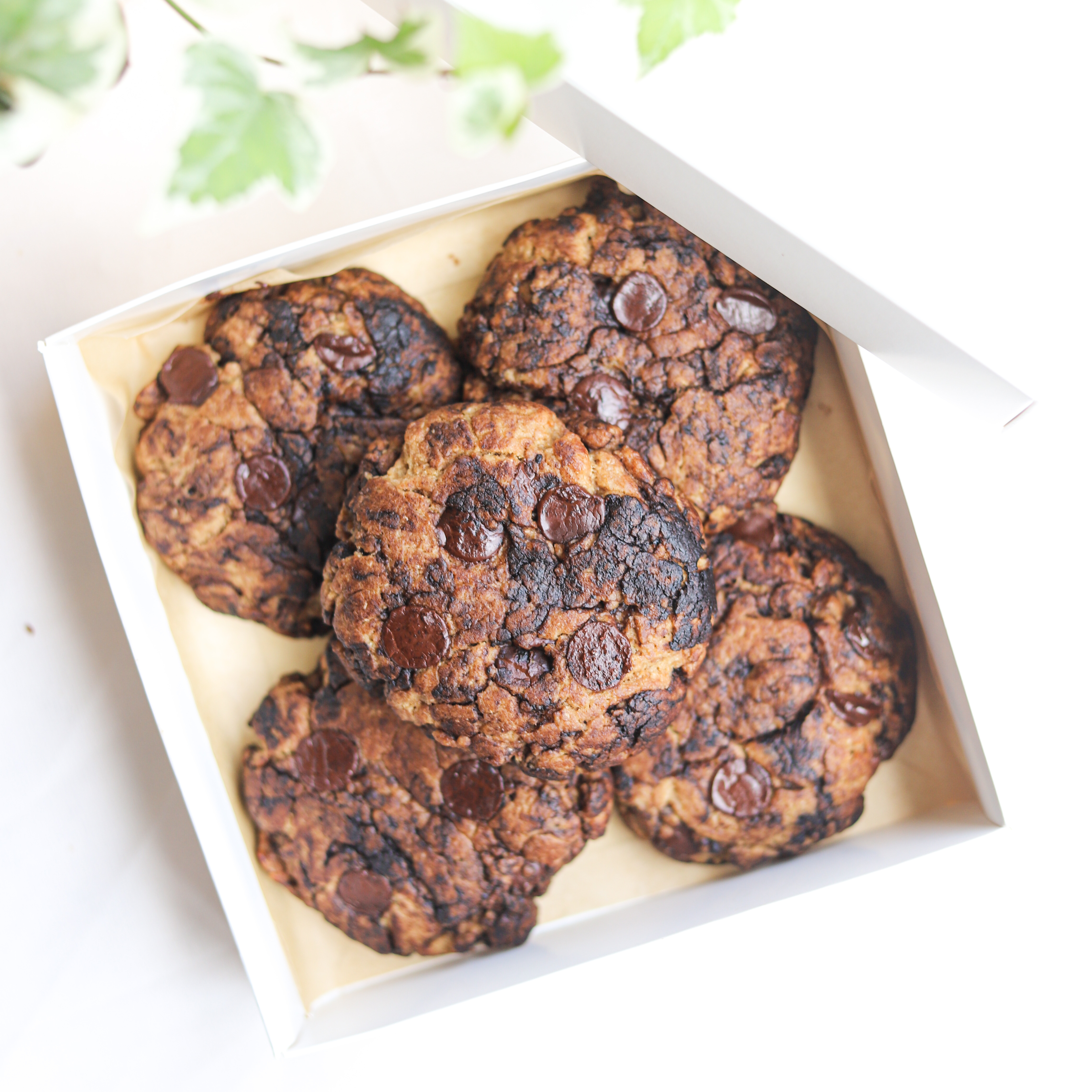 雙倍巧克力軟餅乾