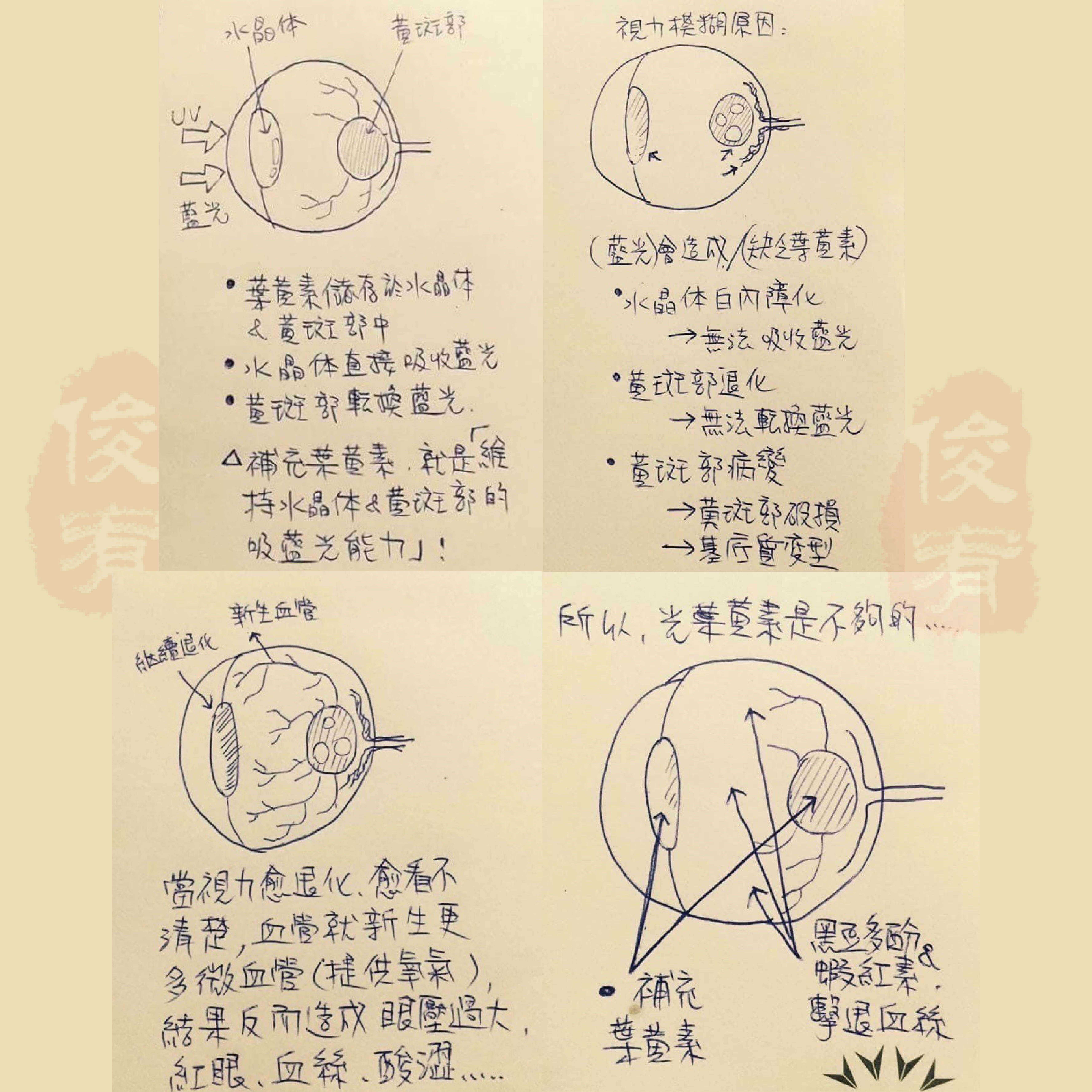 俊宥生技,保健食品品牌,葉黃素怎麼吃,玉米黃素,蝦紅素,花青素,藻紅素,乾眼症,游離型葉黃素,葉黃素推薦,乾眼症,有感葉黃素,飛蚊症,黑豆多酚,近視