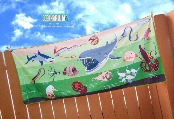 OCEANARIUM 海洋生物快乾吸水大毛巾 ｜ 超細纖維毛巾 ｜ 認識海洋生物系列 ｜  多款可選 ｜ 潛水及水上用品 ｜  香港自家設計品牌