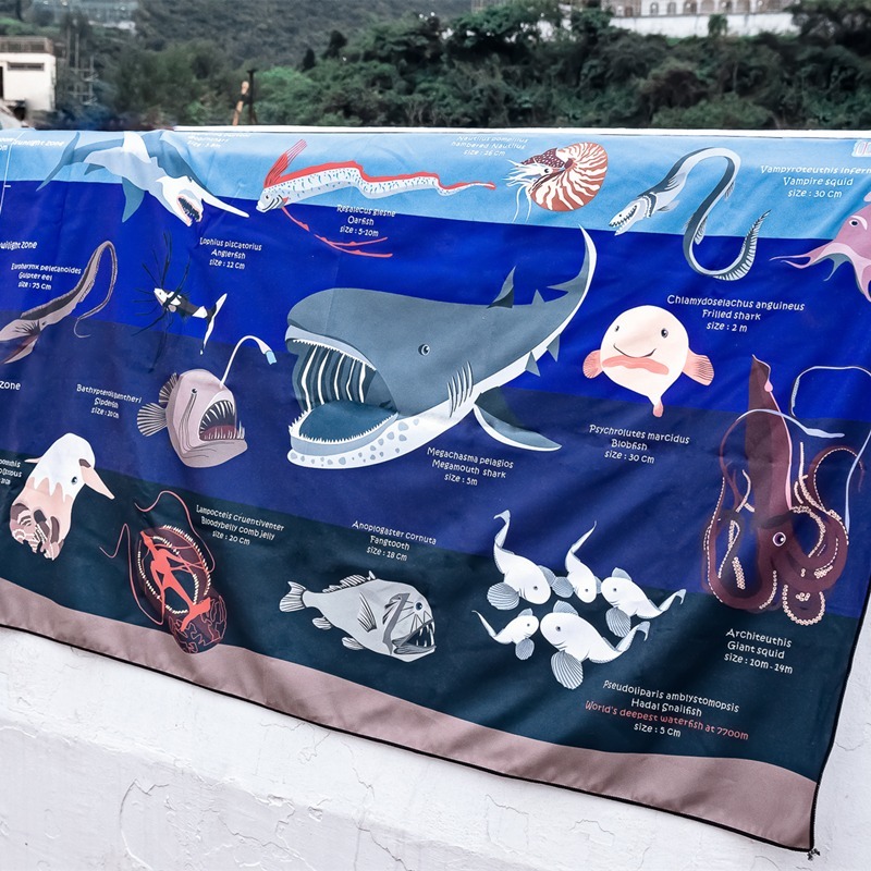 OCEANARIUM 海洋生物快乾吸水大毛巾