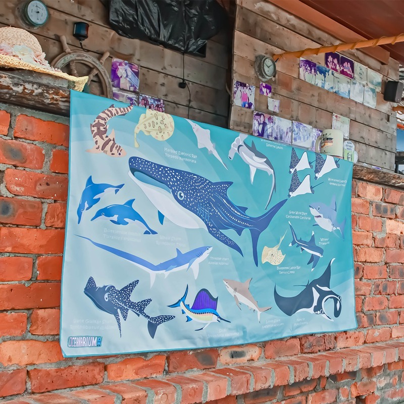 OCEANARIUM 海洋生物快乾吸水大毛巾