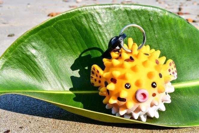 OCEANARIUM 二級頭固定器