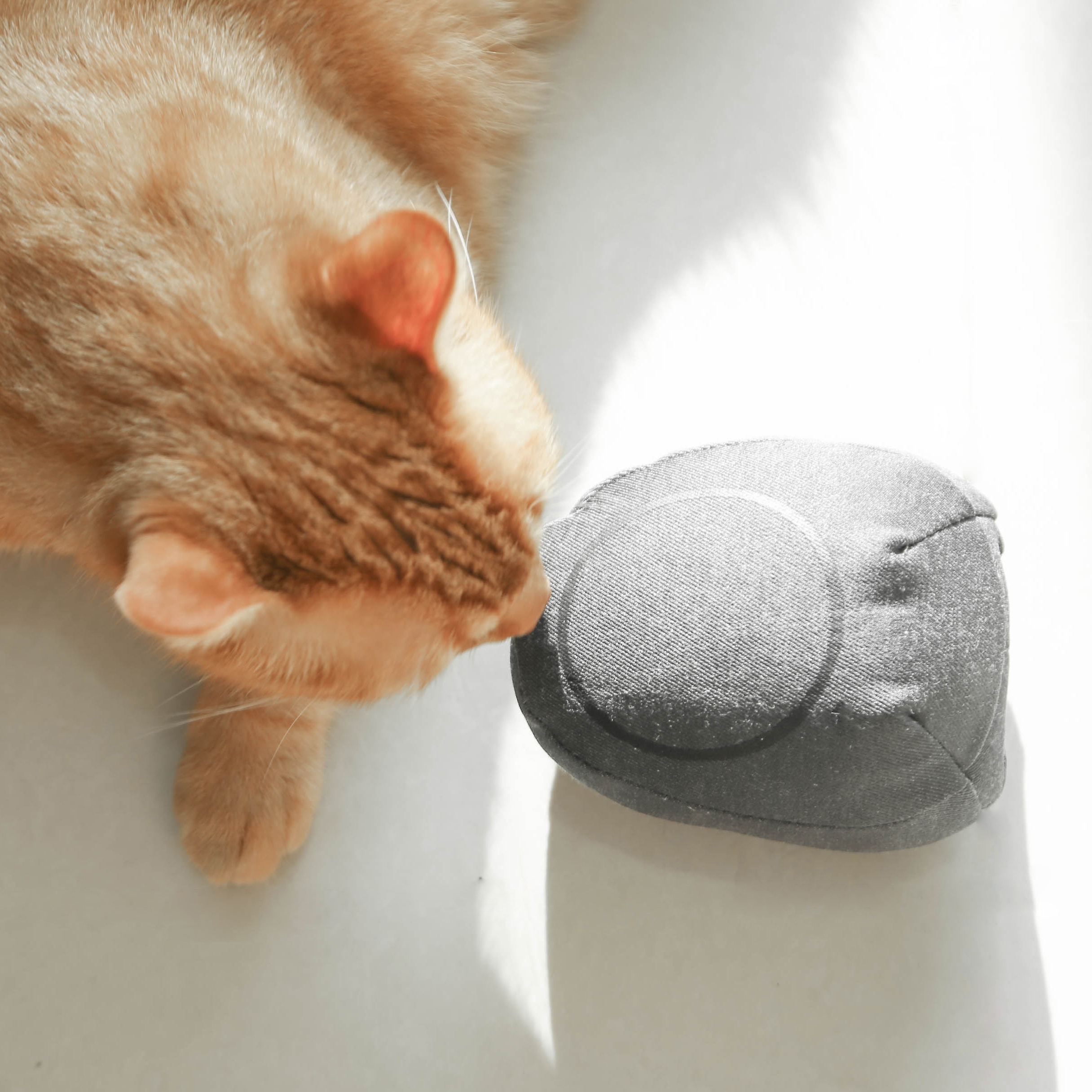 小宅貓草包｜貓草玩具 - housmall