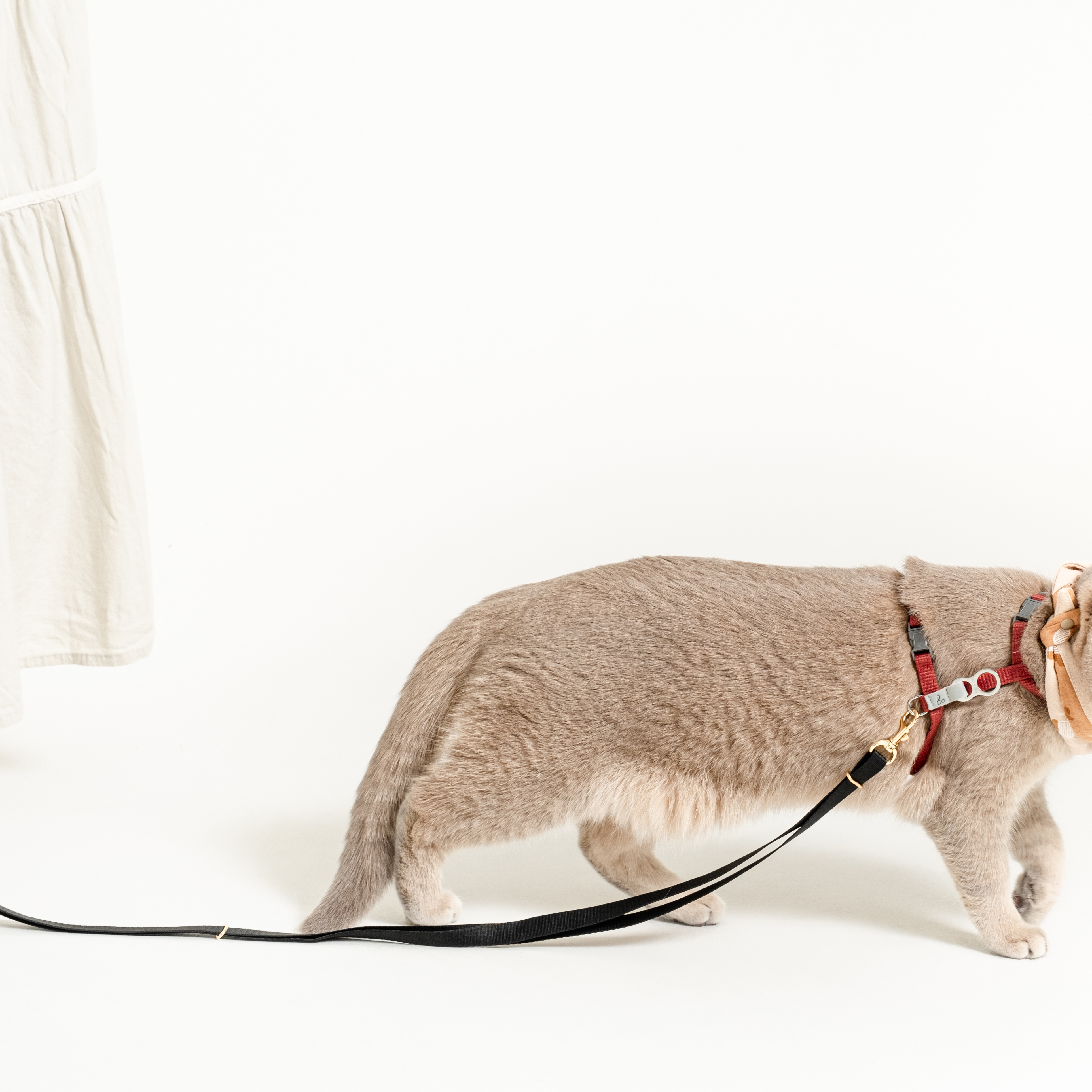 Scout外出牽繩｜貓咪牽繩｜靜謐黑 - housmall