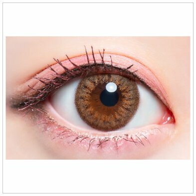 AngelColor merch 1 Day Honey Torte 每日拋棄型有色彩妝隱形眼鏡｜每盒10片