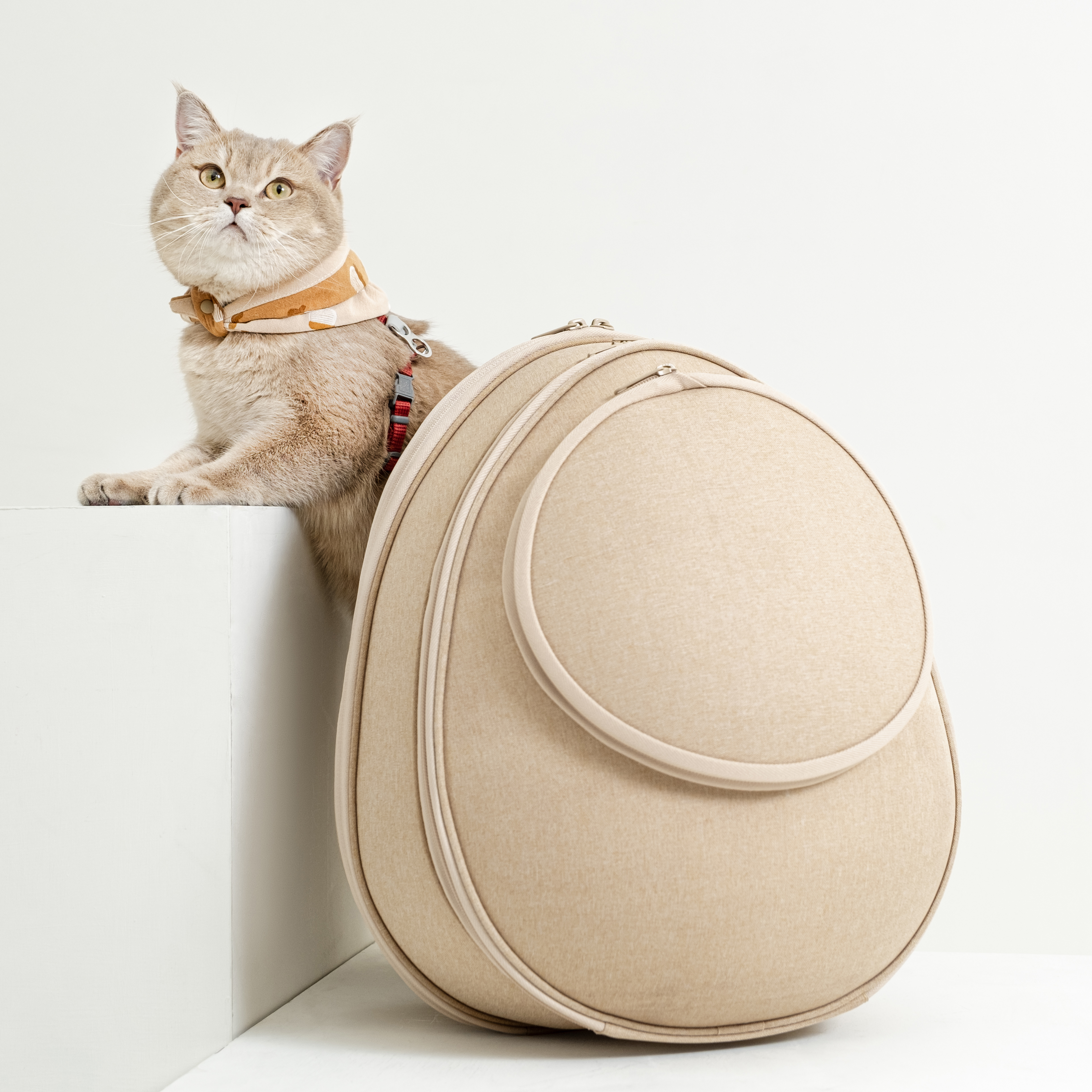 貓咪外出包｜小宅包｜貓蛋｜大地淺棕 - housmall