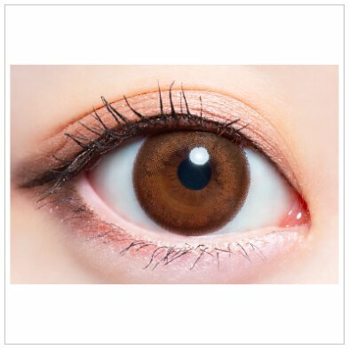 AngelColor merch 1 Day Maple Sugar 每日拋棄型有色彩妝隱形眼鏡｜每盒10片