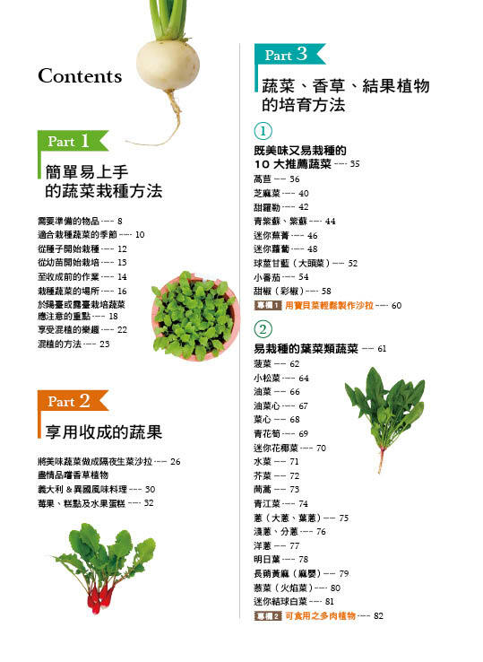 園藝天地：陽台種菜樂趣多