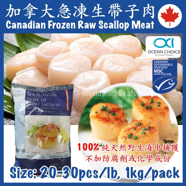 Frozen Canadian Raw Scallop Meat 20/30 pcs/lb I.Q.F.