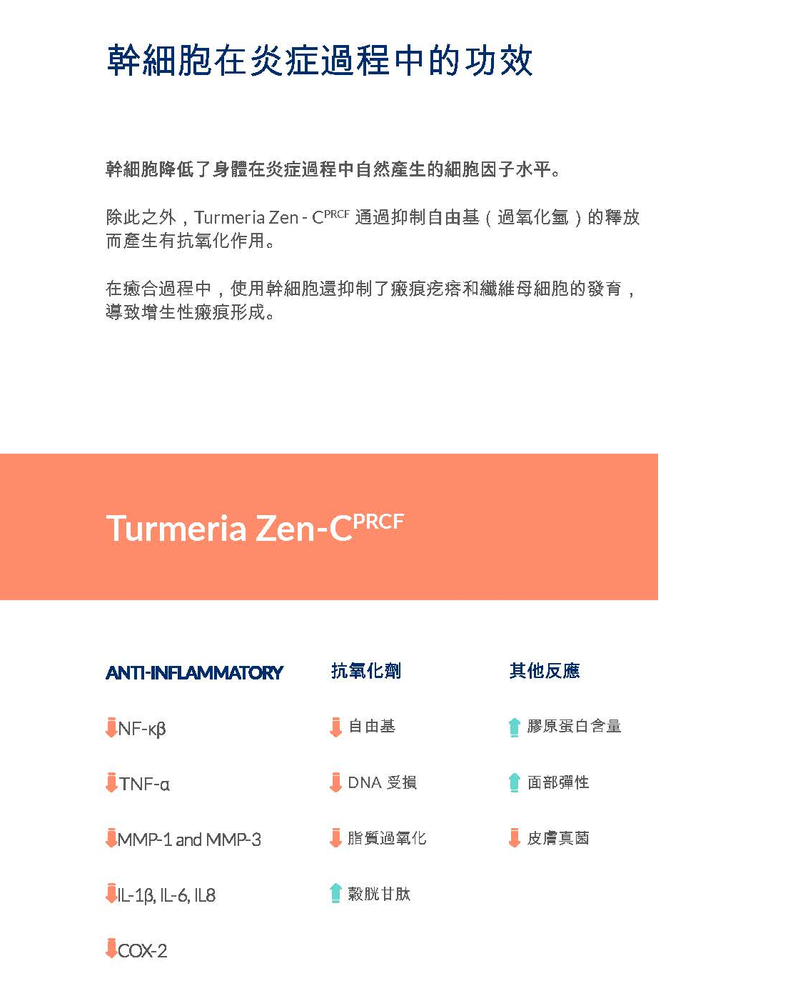 Kelo Cell Biogel 活膚修復除疤凝膠