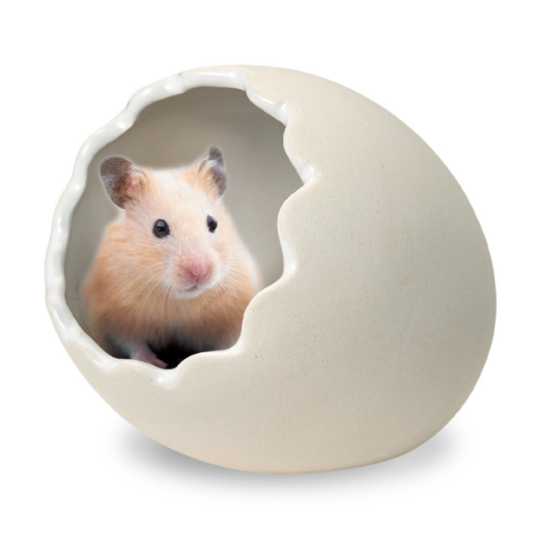 Marukan 倉鼠蛋型瓷屋 - 中