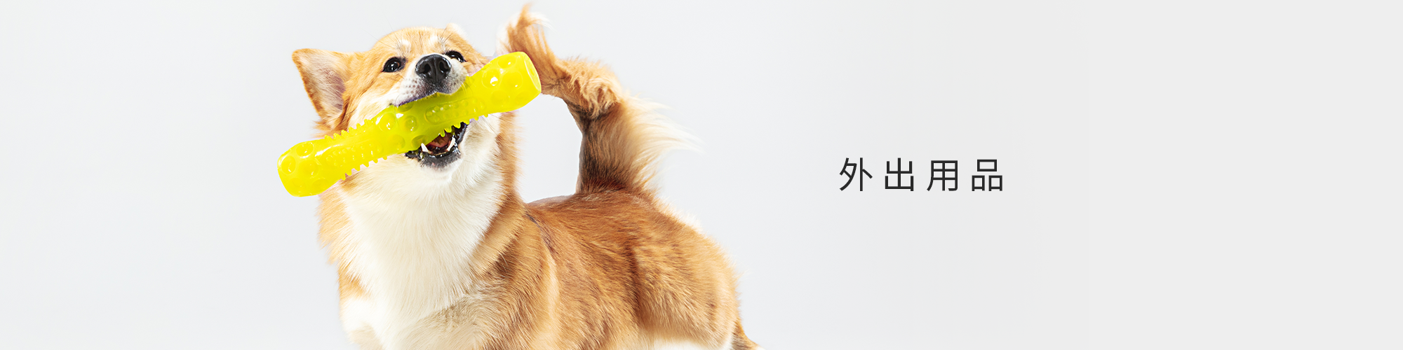 寵物外出用品專區