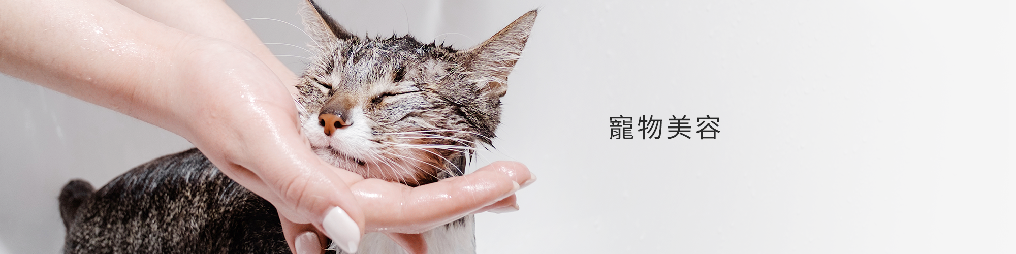 寵物美容專區